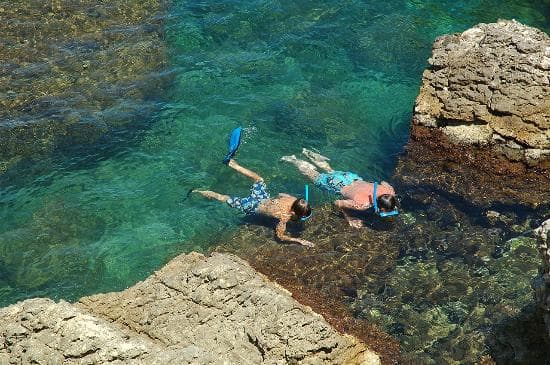 Snorkel Tour