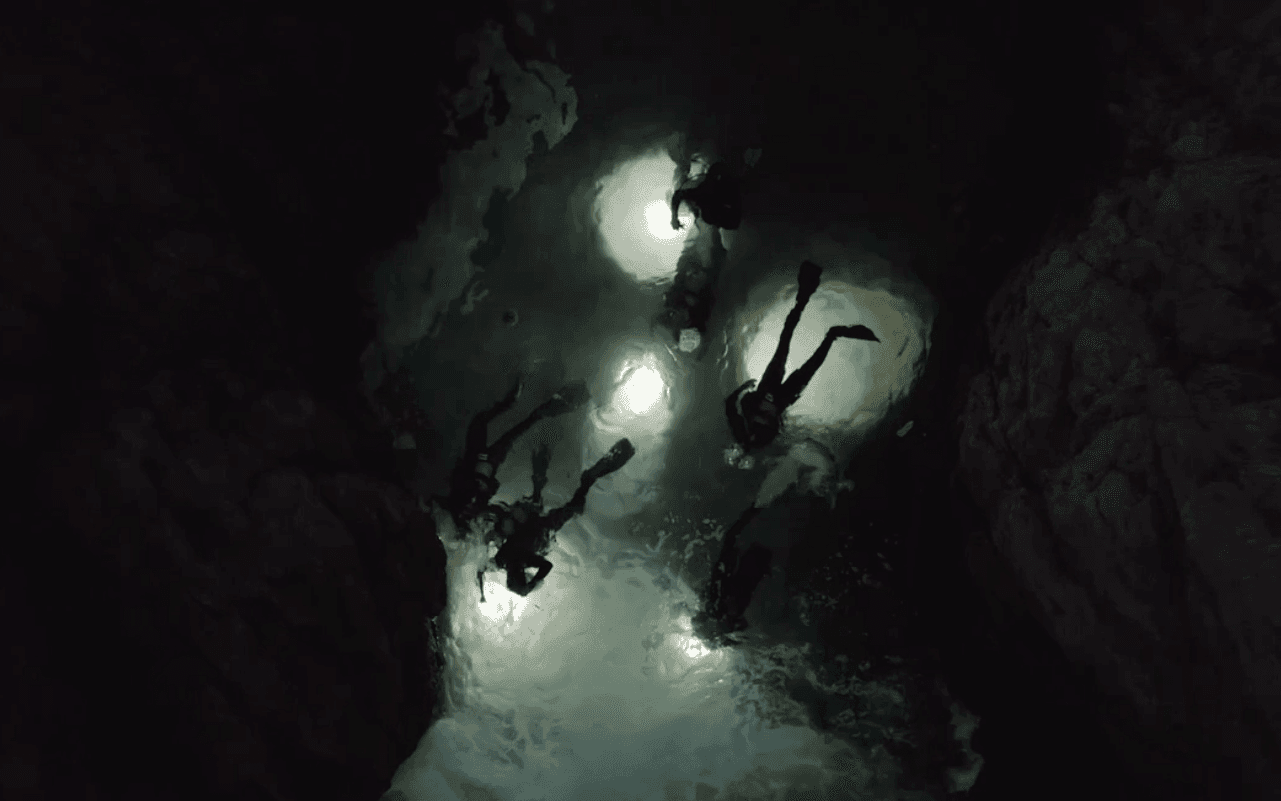 Night Dive