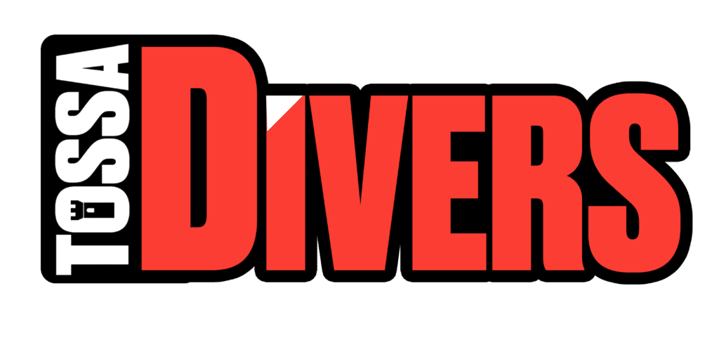 Logo TossaDivers perfil