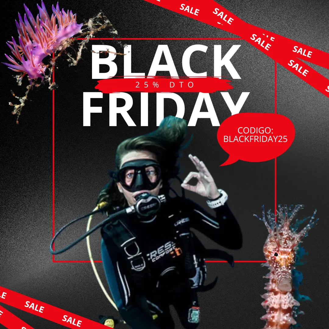 Black Friday de TossaDivers 2024